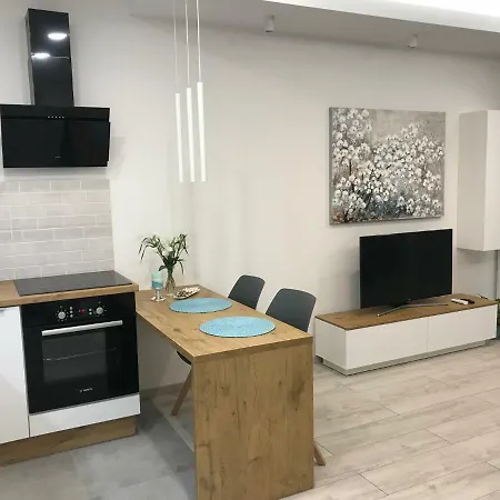 Dbd Gray Turkus * Szczecin