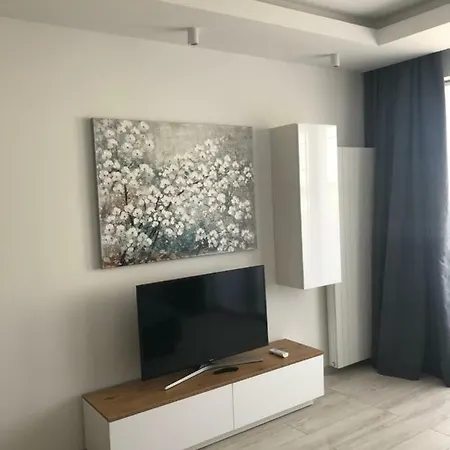 Dbd Gray Turkus * Stettin