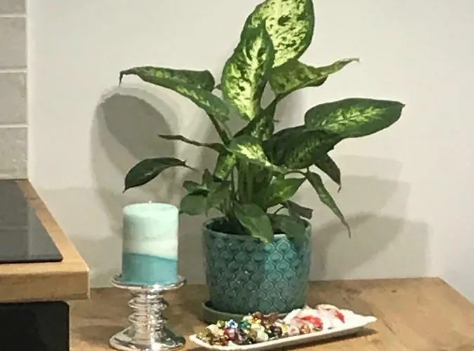 Dbd Gray Turkus Apartamento Szczecin