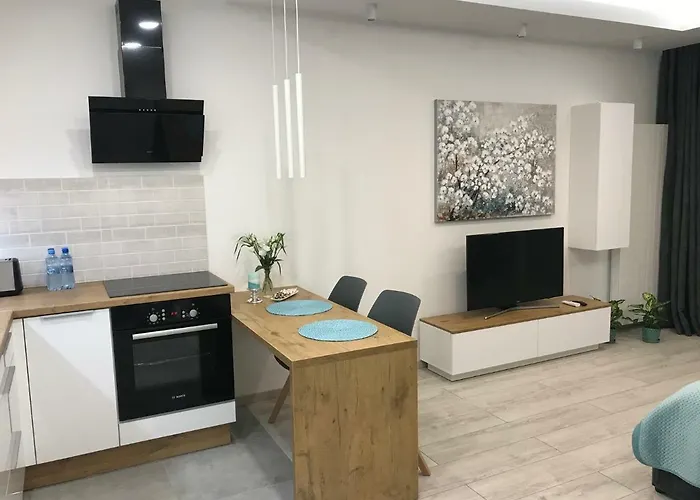 Dbd Gray Turkus * Szczecin