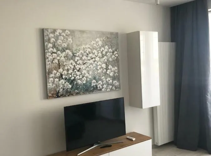 Dbd Gray Turkus * Szczecin